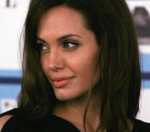 Κατά της μονογαμίας η Angelina Jolie