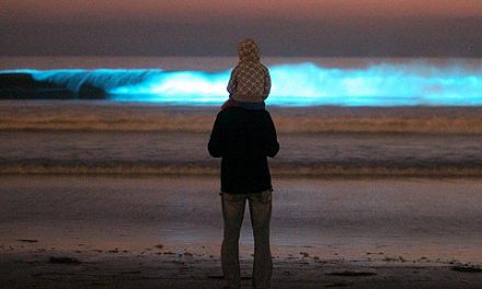 Απίστευτες εικόνες από την παραλία της Καλιφόρνια με την φωτεινή παλίρροια