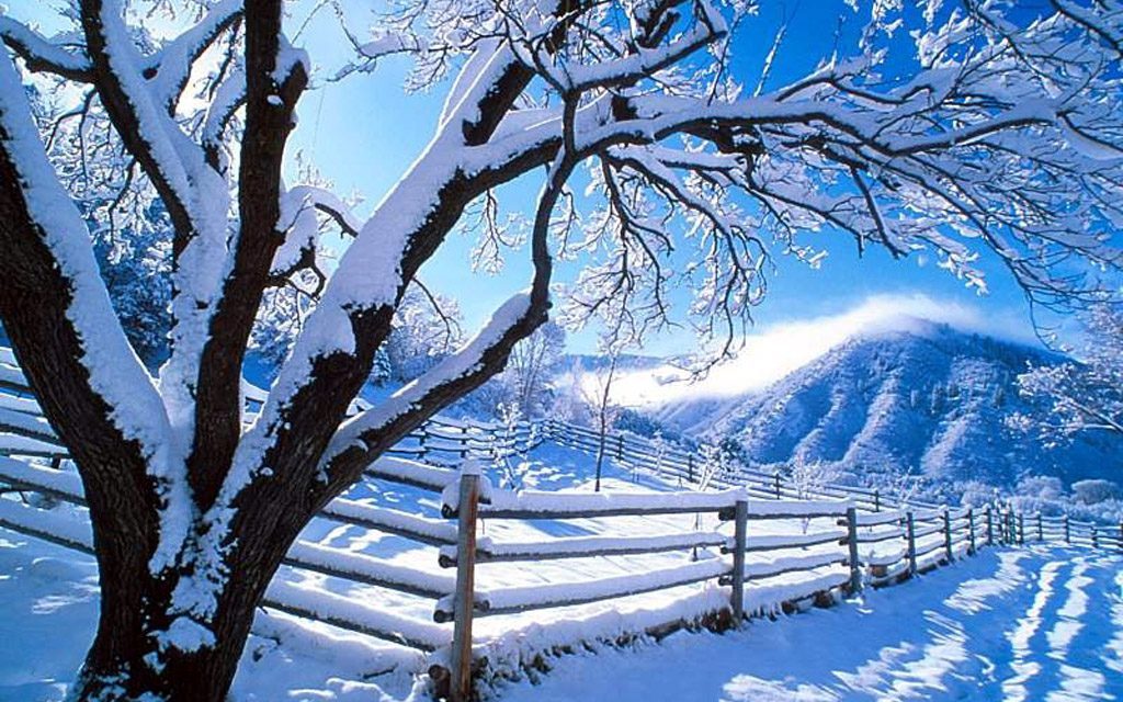 ” Όταν ο χειμώνας ξεπέρασε το λευκό “.