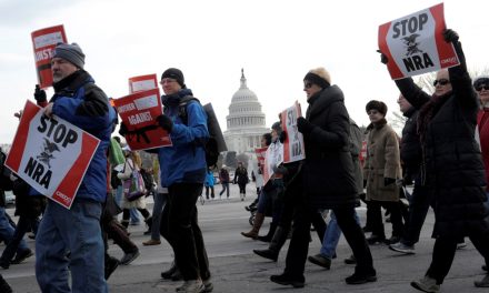 Διαδήλωση στην Ουάσινγκτον για νομοθετικό «φρένο» στην οπλοκατοχή