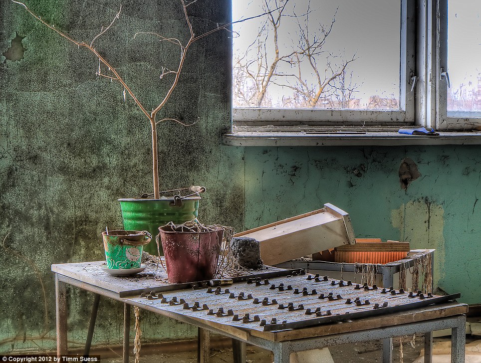 The city of Pripyat, once home to 50,000 citizens, which stands in the centre of the zone had once been an area that symbolised progress but is now a ghost town