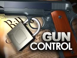 Four reasons why the gun control bills failed