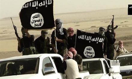 Battling Islamic State on the digital landscape