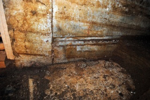 Αμφίπολη: Βρέθηκε το κεφάλι της Σφίγγας (pics)