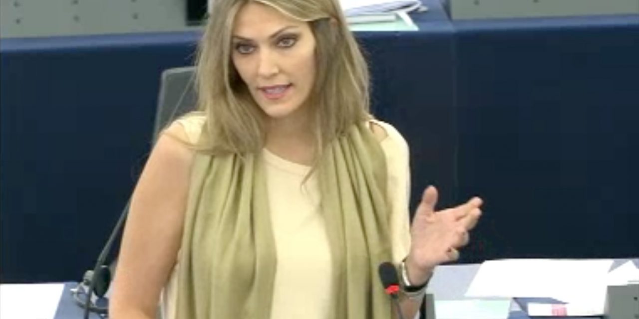 Η Εύα Καϊλή για την ελευθερία των ΜΜΕ στο ευρωκοινοβούλιο