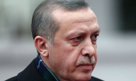 ‘Israel and Turkey need each other,’ Erdogan says