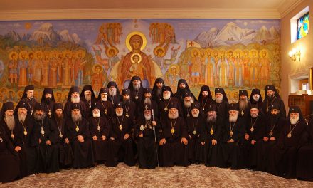 Patriarcate of Georgia: The objective of the Holy Synod is unattainable