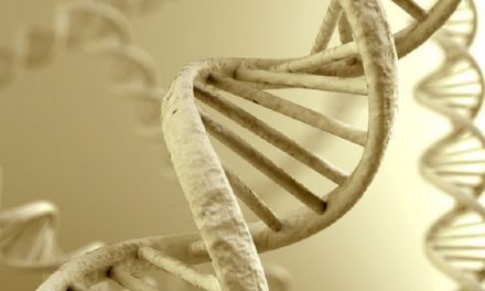 Εγκαινιάστηκε η πρώτη Μονάδα Ανάλυσης Αρχαίου DNA στην Ελλάδα