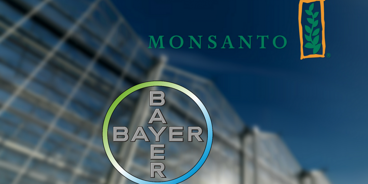 Συμφωνία Bayer και Monsanto: ο γάμος του θανάτου