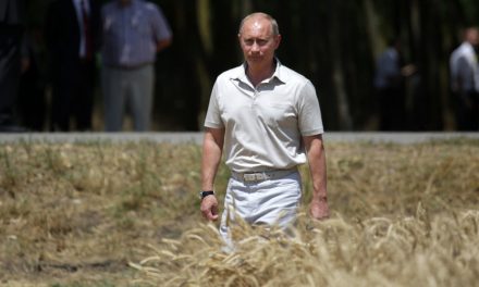 Ανάλυση: Το αβέβαιο μέλλον της ρωσικής γεωργίας