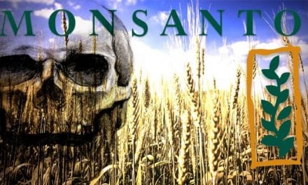 Στα χέρια της Monsanto το μέλλον μας;