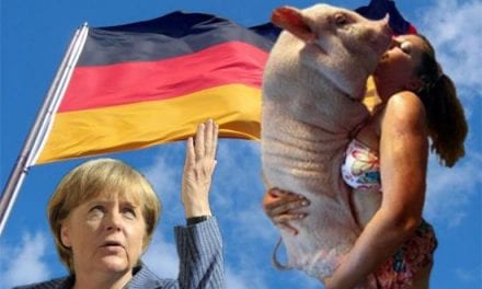 Αριθμοί-Βόμβα για την κτηνοβασία στη Γερμανία
