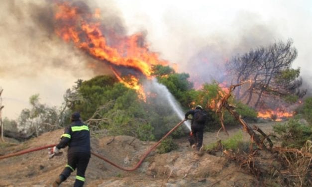 ΕΛΛΑΔΑ ΩΡΑ ΜΗΔΕΝ: ΧΑΟΣ. ΑΣΥΝΕΝΟΗΣΙΑ. ΕΛΕΙΨΗ ΣΥΝΤΟΝΙΣΜΟΥ. ΛΙΓΑ ΜΕΣΑ