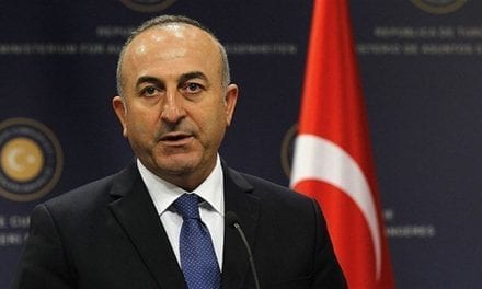 Cavusoglu: Council of Europe must avoid new dividing lines