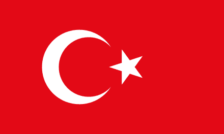 New Turkey and its mission: Turkic republics