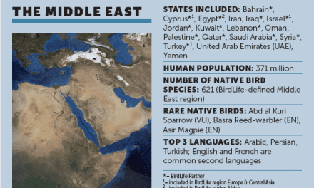 The Middle East: between fact and fiction